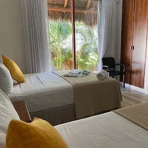 Pelicano *** Isla Holbox