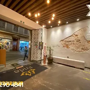 https://hotel-frida.hotelspuebla.com